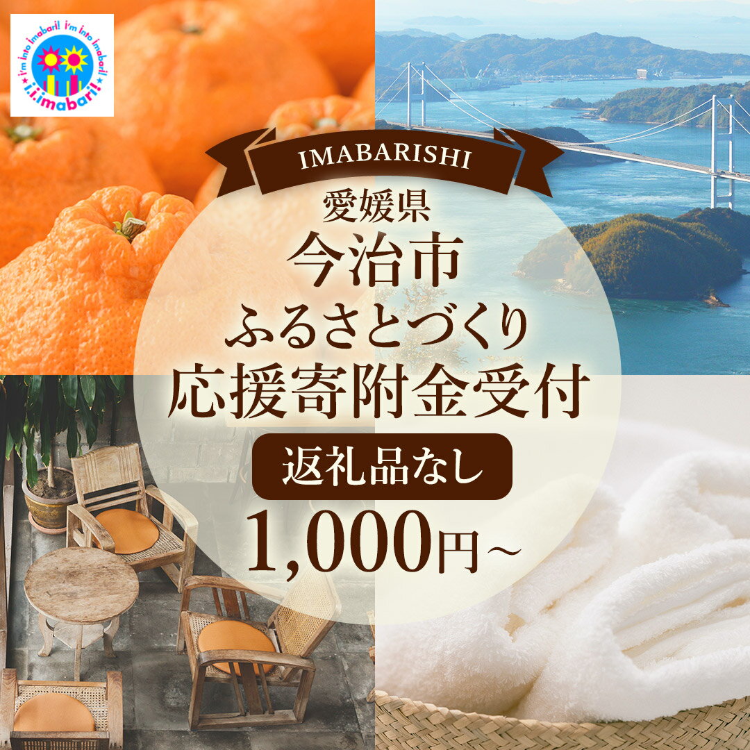 【ふるさと納税】返礼品なし　1,000円から　愛媛県今治市 愛媛ふるさと納税【Z002670】