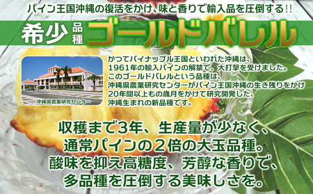パイン【2026年発送】先行予約 ゴールドバレル 3玉 （約4.0kg） パイナップル
