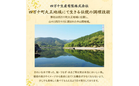 藁焼き かつおタタキ 2節セット（600g） わら焼き 6人前 高知  藁焼き 戻り鰹 鰹 船上凍結 鮮度良好 ポン酢付き タレ付き 四万十町 小分け 冷凍 ／Ess-17