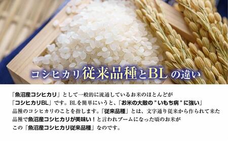 ｜定期便｜ 新潟県 南魚沼産 コシヒカリ 【従来品種】塩沢地区 お米 10kg × 12回 毎月発送 精米済み（お米の美味しい炊き方ガイド付き）