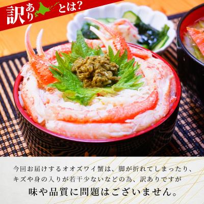 ふるさと納税 千歳市 北海道産【 朝ゆで 】訳ありオオズワイガニ 1.0kg詰 道産品 ズワイガニ ずわい蟹 不揃い |  | 01