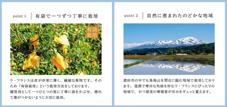 SA2087　有袋栽培 ラ・フランス　約3kg(7～10玉入) 化粧箱入