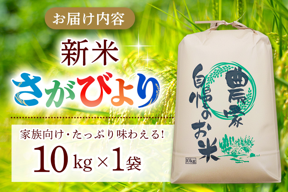 【連続特A受賞米】佐賀県基山町の米・令和7年産 さがびより(精米)10kg〈生産者直送〉【米 ブランド米 特A 冷めても美味い 10kg ふるさと納税】K094002
