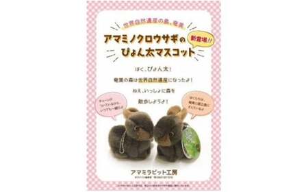 アマミノクロウサギ「ぴょん太マスコット」 - マスコット 手乗りサイズ チェーン付 キーホルダー 手縫い