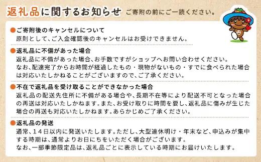 宇検村ジャングル＆村体験ツアー 2名様 奄美大島 宇検村 鹿児島県 旅行 自然 冒険 完全プライベート