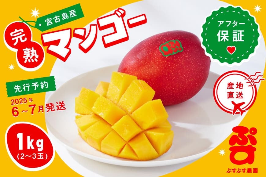 
            【ぷすぷす農園】宮古島産完熟マンゴーお中元セット(家庭用／1キロ×10セット／農園直送)
          