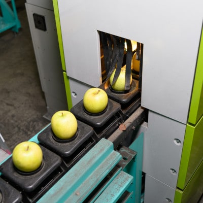 【青森市産】糖度12.5度以上保証!サンつがる贈答用約5kgりんご ※離島・沖縄は配送不可【配送不可地域：離島・沖縄県】