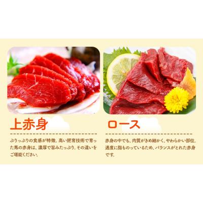 ふるさと納税 南阿蘇村 馬刺し 馬刺し 6種 食べ比べ 280g 《30日以内に出荷予定(土日祝除く)》 |  | 01