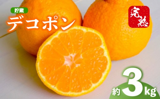 2027年 先行予約 デコポン 約3kg 不知火 しらぬい 貯蔵デコポン みかん 柑橘 蜜柑 オレンジ 果物 フルーツ 果実 旬 贈答用 化粧箱 4月下旬～5月下旬 配送 香川県 丸亀市