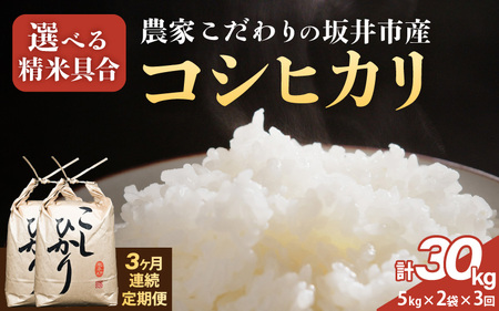 定期便 ≪3ヶ月連続お届け≫ 坂井市産 コシヒカリ 10kg (5kg×2袋) ×3回 (計30kg) 【玄米】 米 コメ お米 福井こしひかり [J-10203_02]