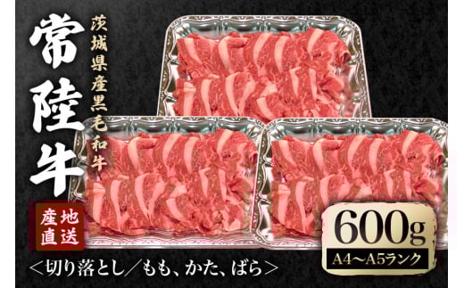 瑞穂農場で育てた常陸牛切り落としセット 約600g 冷凍配送 牛肉 ブランド牛 A4 A5 A4ランク A5ランク 茨城県 モモ ばら かた 赤身 霜降り 部位ミックス 国産 切り落とし 国産牛 柔らか 牛丼 肉じゃが 冷凍 お取り寄せ