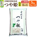 【ふるさと納税】《定期便6ヶ月》【令和6年産・白米】宮城県栗原産 つや姫 毎月5kg (5kg×1袋)×6ヶ月