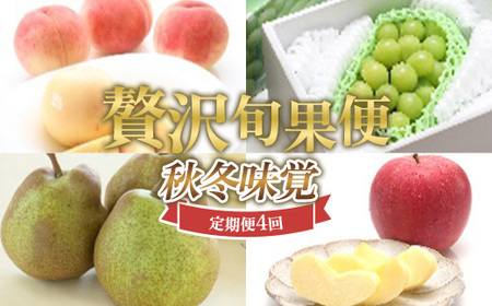 ≪数量限定 期間限定≫贅沢旬果便 ～秋冬味覚～ 白桃 シャインマスカット ラ・フランス サンふじりんご 定期便【全4回】 FSY-2428
