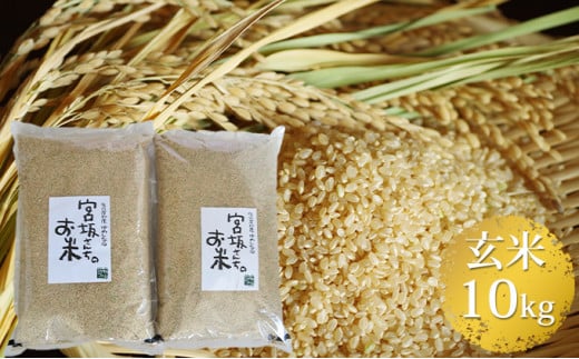 八ヶ岳で育った玄米 ゆめしなの10kg（5kg×2袋） お米