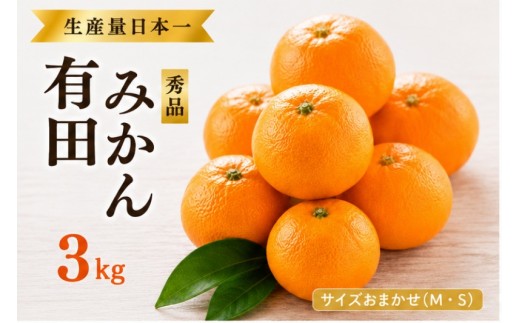 
                  紀州 有田みかん 秀品 3kg サイズおまかせ【sml004-r-3A】
                