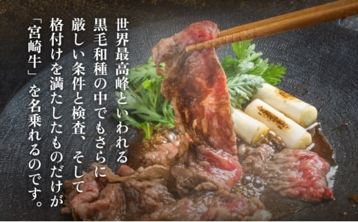 KU207  ＜冷凍＞A4等級以上！宮崎牛切り落とし(250g×2P・計500g)とろける旨み！【スーパーほりぐち】