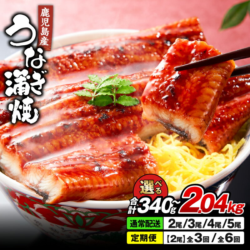 清らかな地下水育ち！鹿児島産うなぎ【大】2尾 340g［170g×2尾］真空パックでお届け！ 鰻丼やひつまぶしにも！ 【財宝】