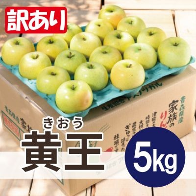 青森りんご 8～9月発送 黄王(きおう) 約5kg 訳あり クール便 平均糖度12度以上!【配送不可地域：離島・沖縄県】