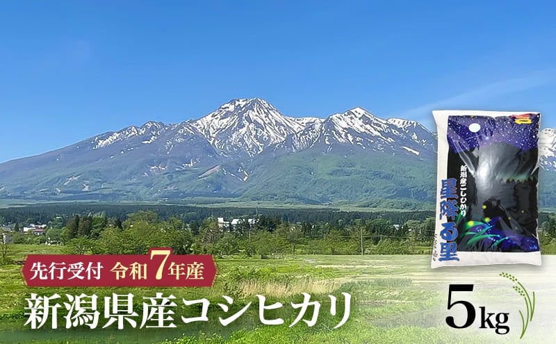
            【先行予約 令和7年産 コシヒカリ】10月中旬より順次発送　新潟県産コシヒカリ 5kg 上越市 米 こめ コメ お取り寄せ
          