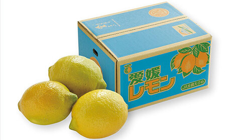 【先行予約】レモン 約2.5kg【KC00790K3】