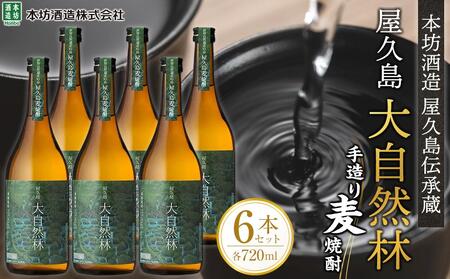 屋久島 大自然林 麦 720ml 6本 屋久島産の手造り麦焼酎＜本坊酒造 屋久島伝承蔵＞