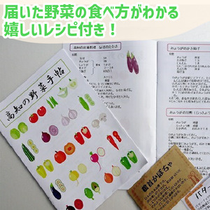 【 野菜 】 野菜詰め合わせ定期便 全12回 12ヶ月