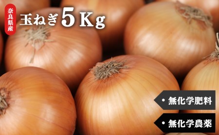 甘味たっぷり 生命の農法（ 無化学農薬 ・ 無化学肥料栽培 ） 玉ねぎ 5kg  | たまねぎ 慈光会自然食品販売所
