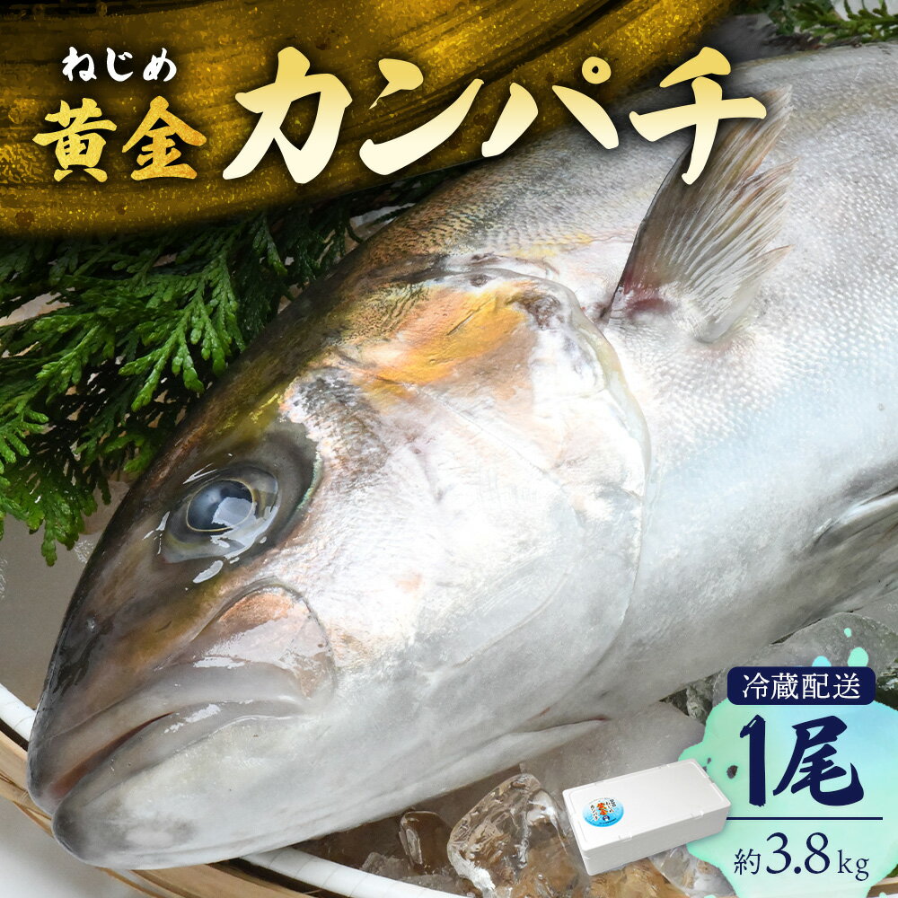 【ふるさと納税】カンパチ 1尾 3.6〜4.0kg 配送日指定可能