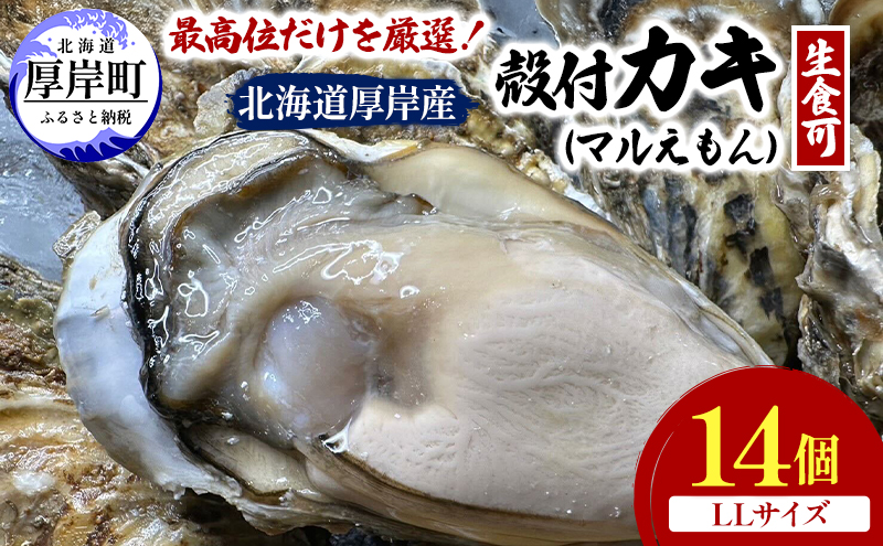 北海道 厚岸産 ブランド牡蠣 マルえもん 殻付き 牡蠣 LLサイズ 14個 【光輝】 [ 魚貝類 生牡蠣 海鮮 海の幸 生食用牡蠣 生食用 生食用殻付き牡蠣 濃厚 甘み  オイスター ]  