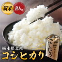 【ふるさと納税】【令和6年度産】栃木県北産コシヒカリ 10kg入【新米】栃木県 那須塩原市 米 お米 ブランド米 おにぎり ごはん 白米 国産米 コシヒカリ 食品 精米 送料無料