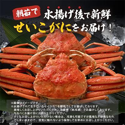 ふるさと納税 美浜町 【2026年11月より順次発送】1杯220g以上の希少価値のあるセイコガニ2杯を茹でたその日に発送! |  | 01