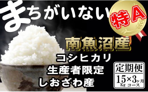 
            【令和7年産】【定期便】生産者限定 契約栽培　南魚沼しおざわ産コシヒカリ（15Kg×3ヶ月）【2025年10月上旬より順次発送予定】
          