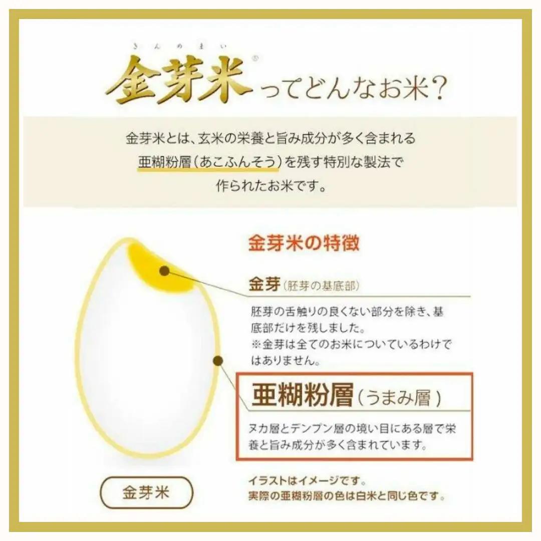【2026年米 先行予約】金芽米 生坂村産コシヒカリ 無洗米 5kg 長野県産 | コシヒカリ