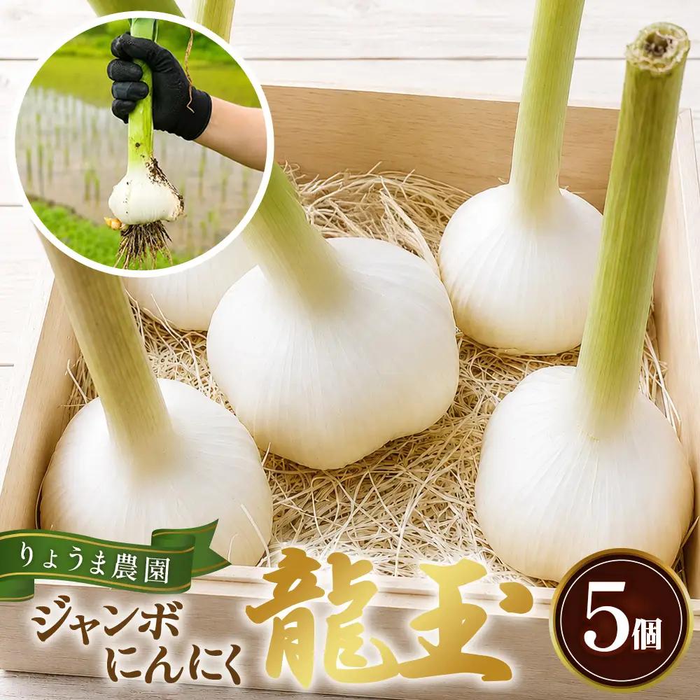ジャンボニンニク「龍玉」無臭にんにく ／ にんにく ガーリック 龍玉 大粒にんにく 食べ応え にんにく料理 ホイル焼き ガーリックステーキ 丸ごとにんにく ごろっとにんにく 国産 産地直送 兵庫県 No.562