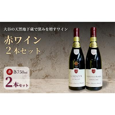 ふるさと納税 宇都宮市 大谷の天然地下蔵で深みを増すワイン ブルゴーニュ赤 モノポール含む 2本セット