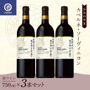 【ふるさと納税】 3本セット かみのやま カベルネ・ソーヴィニヨン 赤ワイン サントリー 750ml F2Y-3820