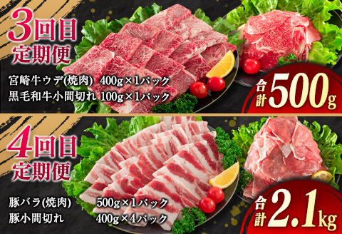 【令和8年2月から毎月配送】5か月定期便 月替わりで堪能!! 牛肉 豚肉 焼肉 セット 豚バラ 肩ロース モモ ウデ 総重量5.6kg 国産 食品 おかず BBQ バーベキュー 小分け 宮崎牛 黒毛和
