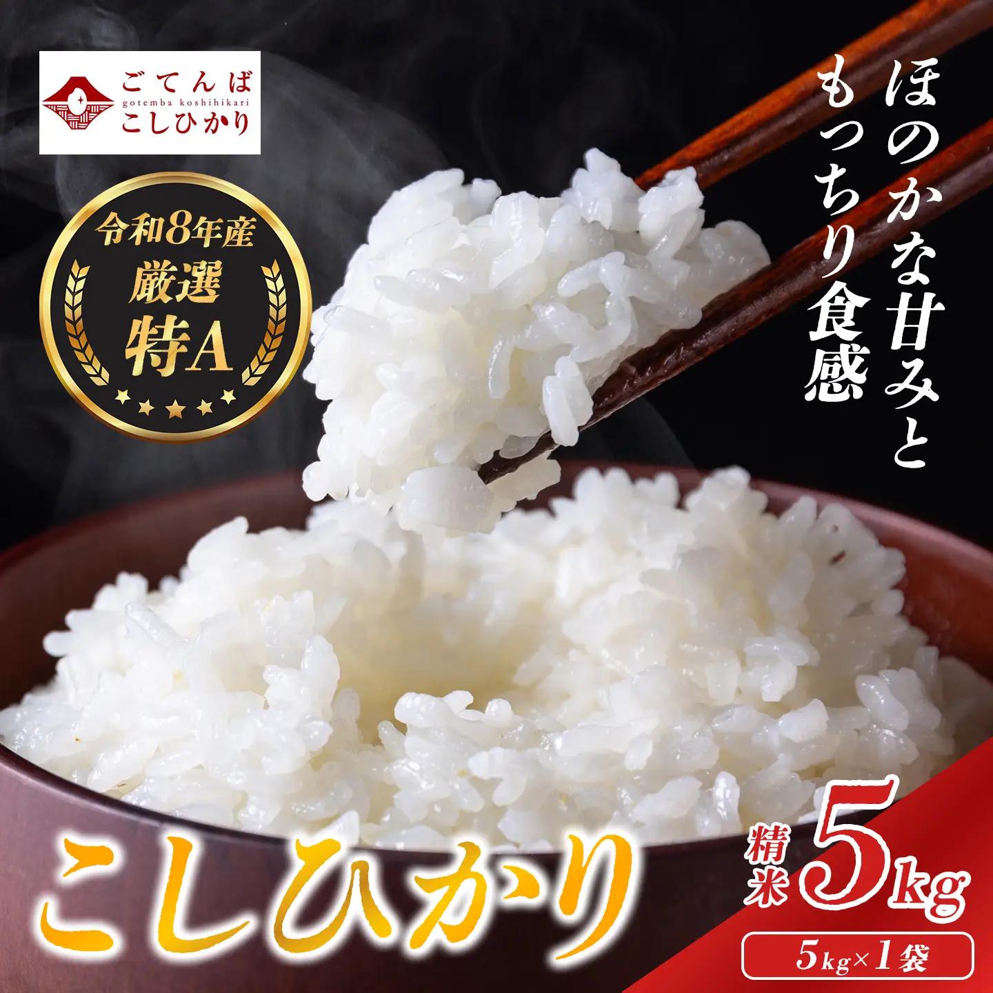 先行予約 12月発送 新米 令和8年産 精米 こしひかり 5kg コシヒカリ