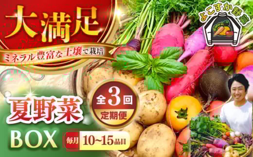 【先行予約】【全3回定期便】すずなり採れたて野菜BOX　(10～15品)　夏（5月～7月）【鈴也ファーム】 [AKCE005]