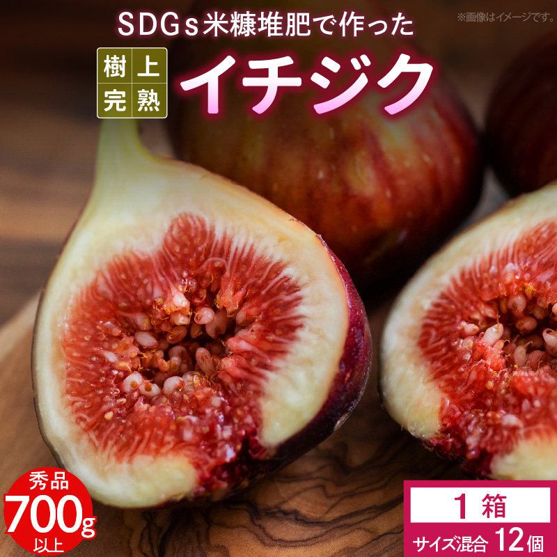 【先行予約】SDGs米糠堆肥で作った樹上完熟イチジク秀品700g以上（サイズ混合12個）潰れにくいイチジク専用容器入り【産地直送2025年8月より順次出荷】_イチジク秀品700ｇ以上 （サイズ混合12個） SDGs 米糠堆肥 樹上完熟 桝井ドーフィン イチジクケーキ ジャム ジェラート ジュース ドライフルーツ 潰れにくい イチジク専用容器 入り 宙吊り包装 ギフト 福岡 久留米 送料無料_Gv040