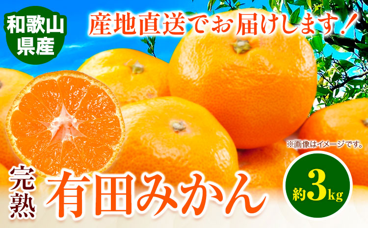みかん 完熟有田みかん 約 3kg 有田マルシェ《11中旬-1月上旬頃出荷予定》 和歌山県 日高町 みかん 有田 みかん 柑橘 フルーツ 完熟 ミカン 蜜柑 送料無料