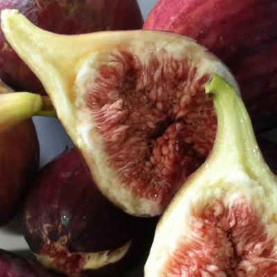ふるさと納税 和歌山市 和歌山産 いちじく ご自宅用(サイズ不揃い、傷あり) 1.6kg(400g×4パック)