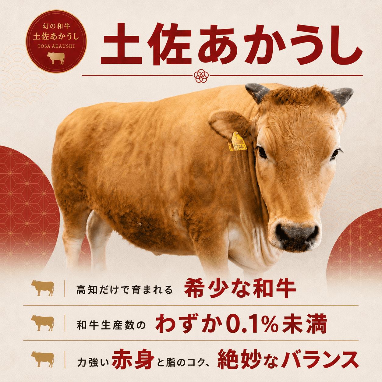 土佐 あかうし 赤牛 赤身 スネ・ネック サイコロカット カレー・シチュー用 600g | 和牛 あか牛 アカウシ 牛肉 希少 ブランド 国産 プレゼント ギフト 冷凍 贈答 高知県 南国市