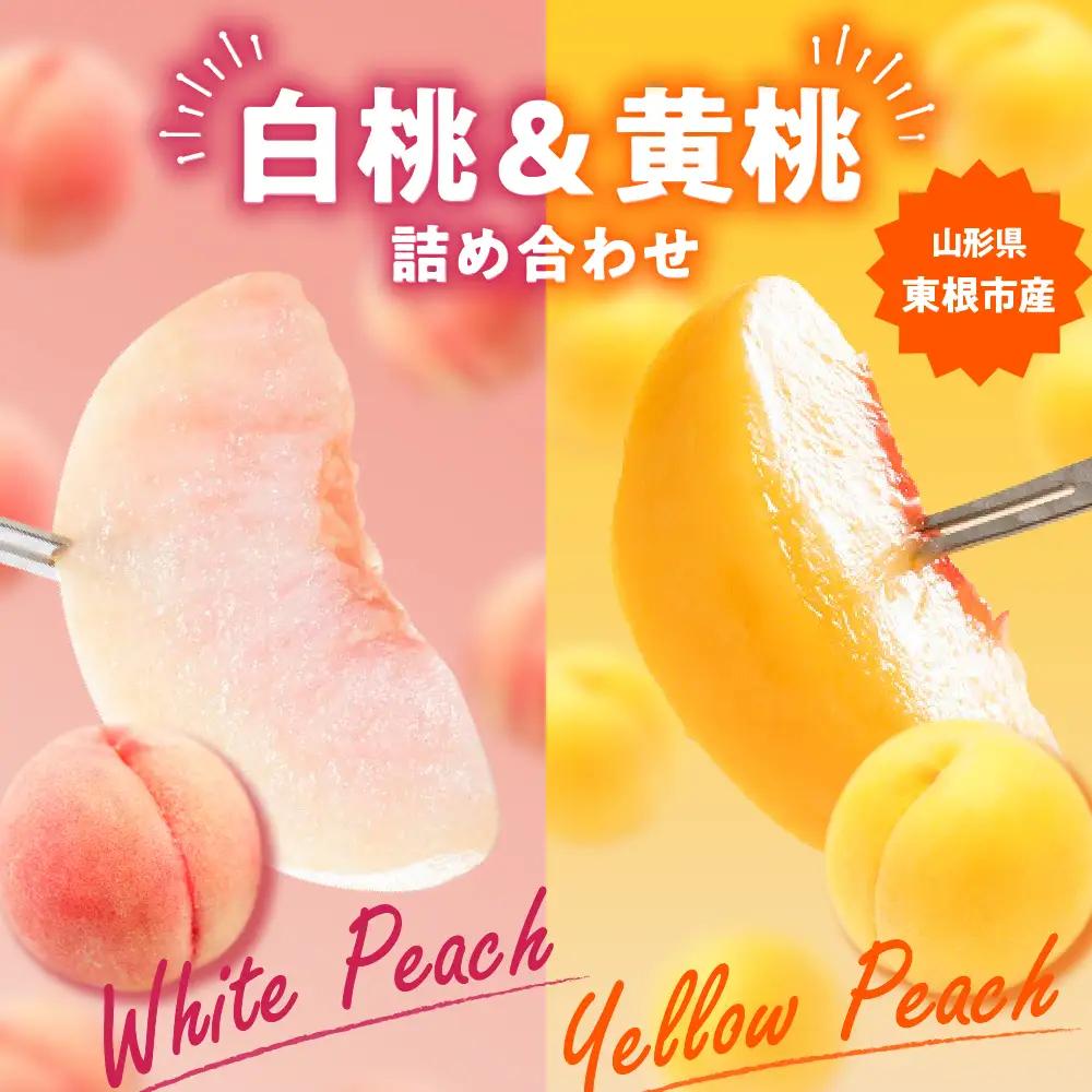 【2026年産 先行予約】 白桃＆黄桃 詰め合わせ (品種おまかせ) 2kg 秀品 化粧箱入り 東根農産センター提供 山形県 東根市 hi027-263 （果物 フルーツ くだもの もも 桃 白桃 黄