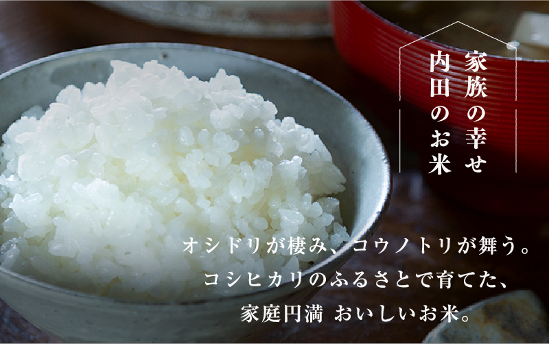 【令和7年産 新米！】【2025年9月下旬以降 順次発送予定】福井県産 内農米 ハナエチゼン 5kg  内農米 ハナエチゼン 5kg