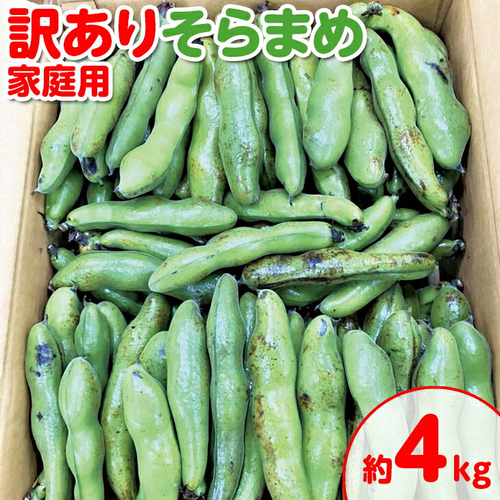【ふるさと納税】＜先行予約！2026年5月上旬以降順次発送予定＞＜訳あり・家庭用＞ そらまめ(約4kg) そら豆 ソラマメ 傷あり 産地直送 新鮮 冷蔵便 【man103】【Aglio nero】
