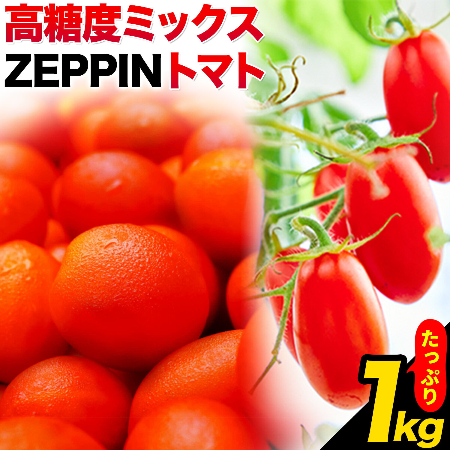 【ふるさと納税】ZEPPIN トマト 1kg (高糖度MIX) 平均糖度10~13度 甘い フルーツトマト高濃度 株式会社ジェイ・イー・ティ・アグリ 《30日以内に出荷予定(土日祝除く)》甘い うまみ とまと ミニトマト 野菜 岡山県 笠岡市