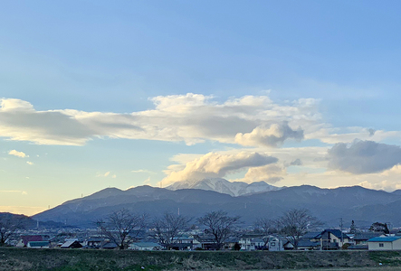 【岐阜県垂井町産】 朝摘み完熟ブルーベリー 生果 750g（125g×6パック）| ブルーベリー 生果 木の実  果実 朝摘み 完熟 甘酸っぱい ジャム デザート 産地直送
