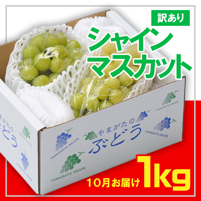 ☆フルーツ王国山形☆[訳あり] シャインマスカット1kg (1～3房)[10月お届け] 【令和8年産先行予約】FS23-854
