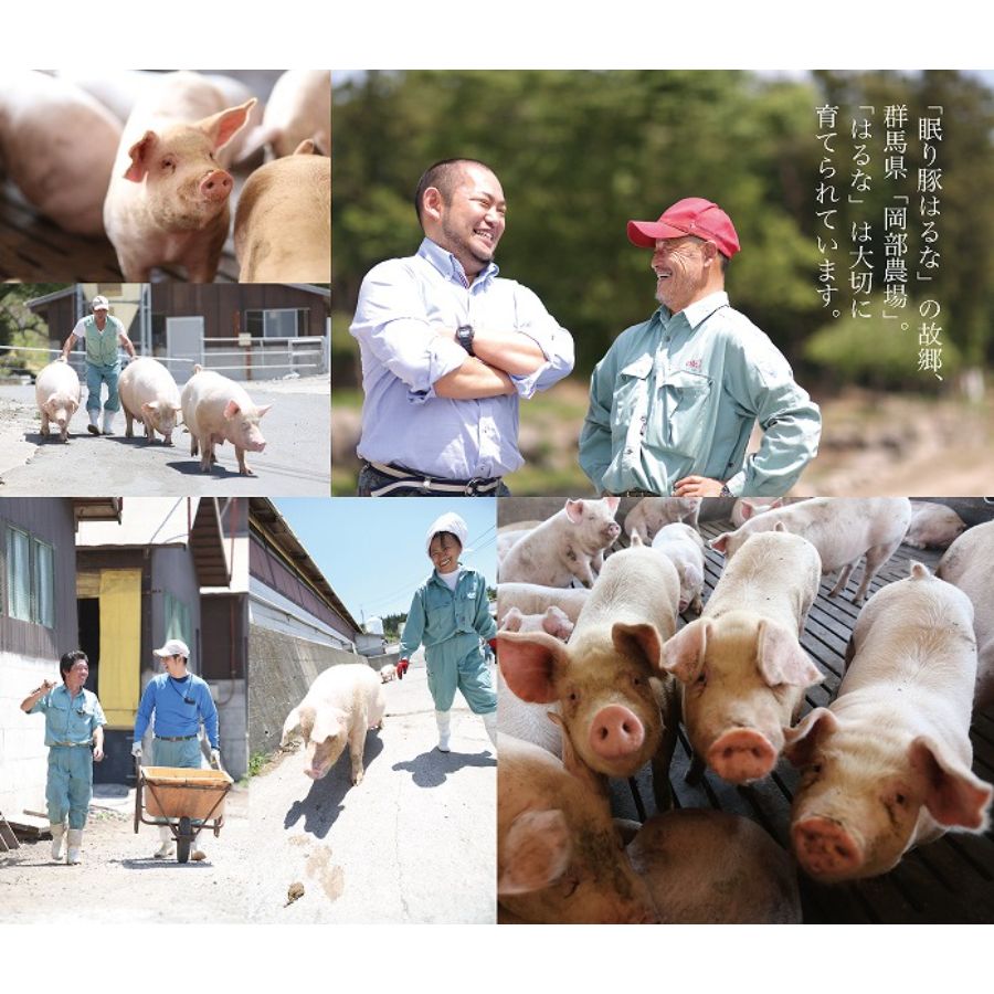 ＜岩野精肉店＞氷温熟成　眠り豚はるな　焼肉セット１kg（ロース200ｇ　肩ロース400ｇ　バラ400ｇ）
